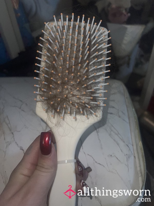 Well Used Hair Brush With Hair