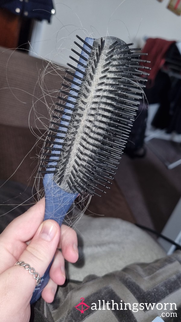 Well Used Hairbrush