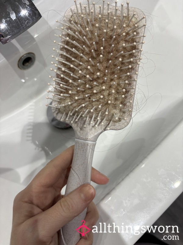 Well Used Hairbrush