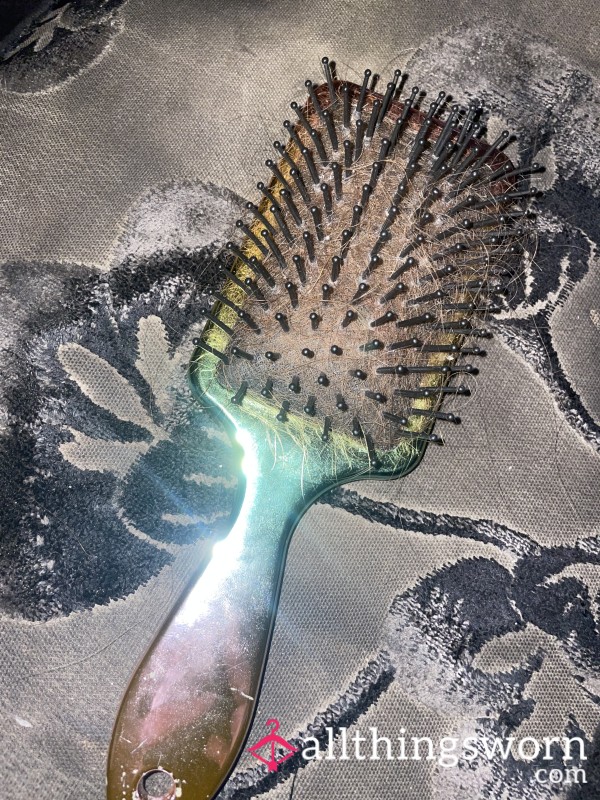 Well Used Hairbrush