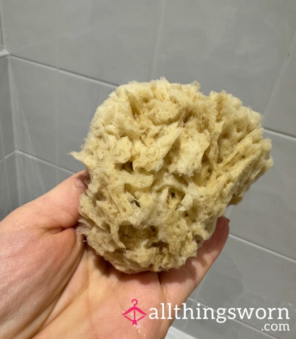 Well Used Natural Sea Sponge