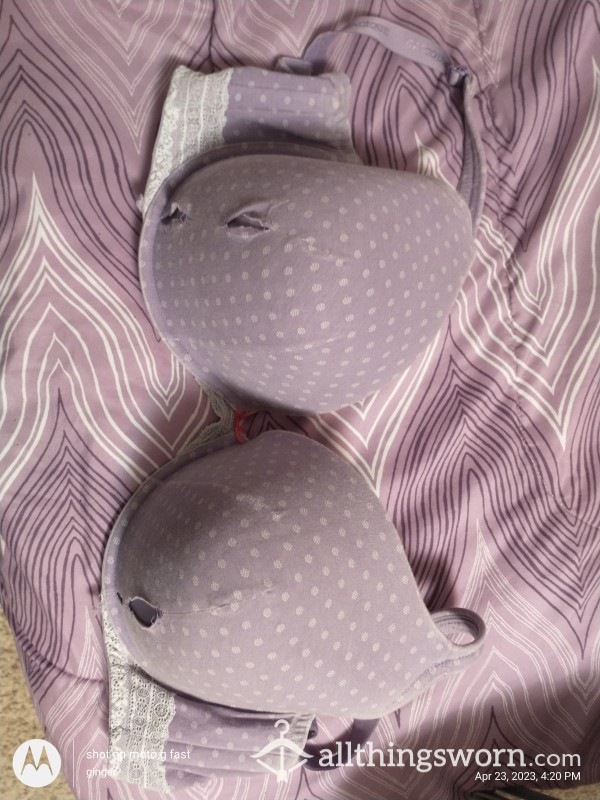 Well Used Purple Bra Size 44G