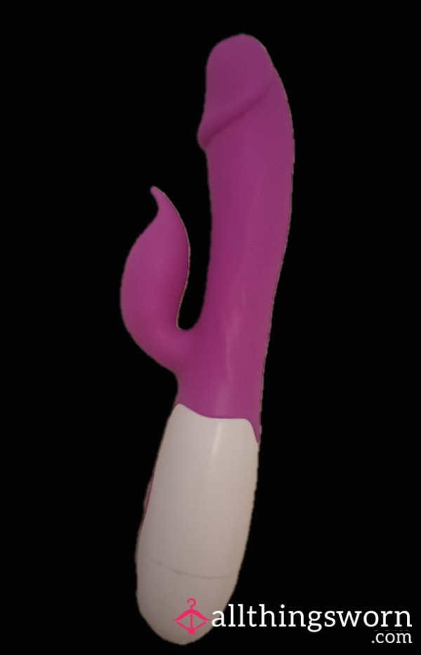 Well Used Purple Rabbit Vibrator