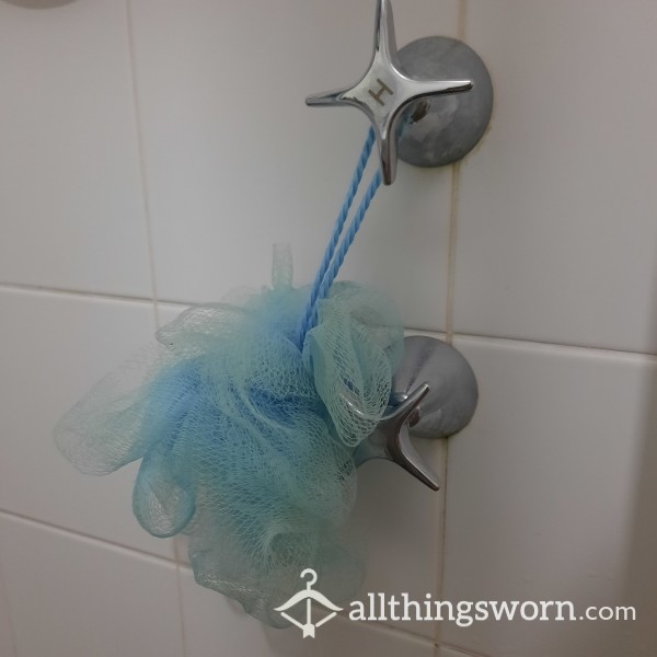 Well Used Shower Loofah