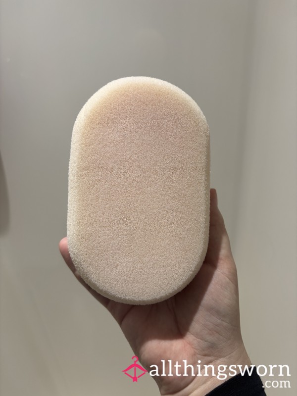 Well Used Sponge