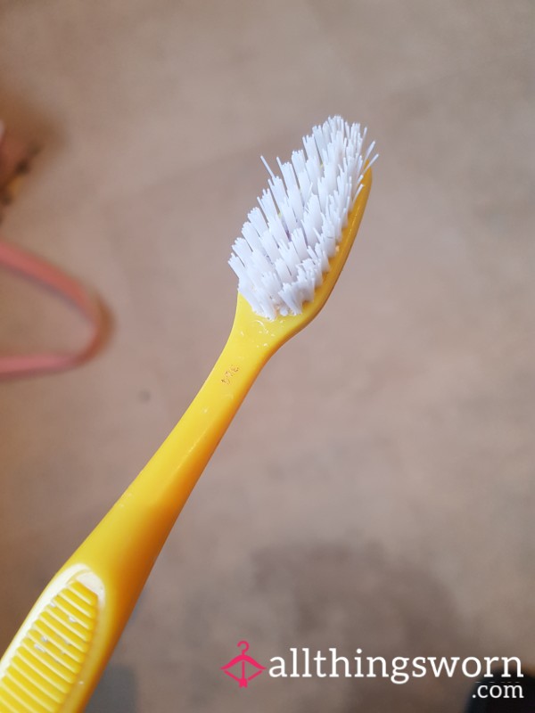 Well Used Toothbrush