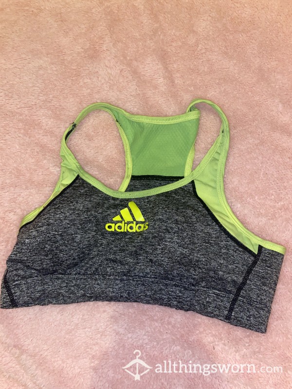 Well Worn Adidas Sports Bra