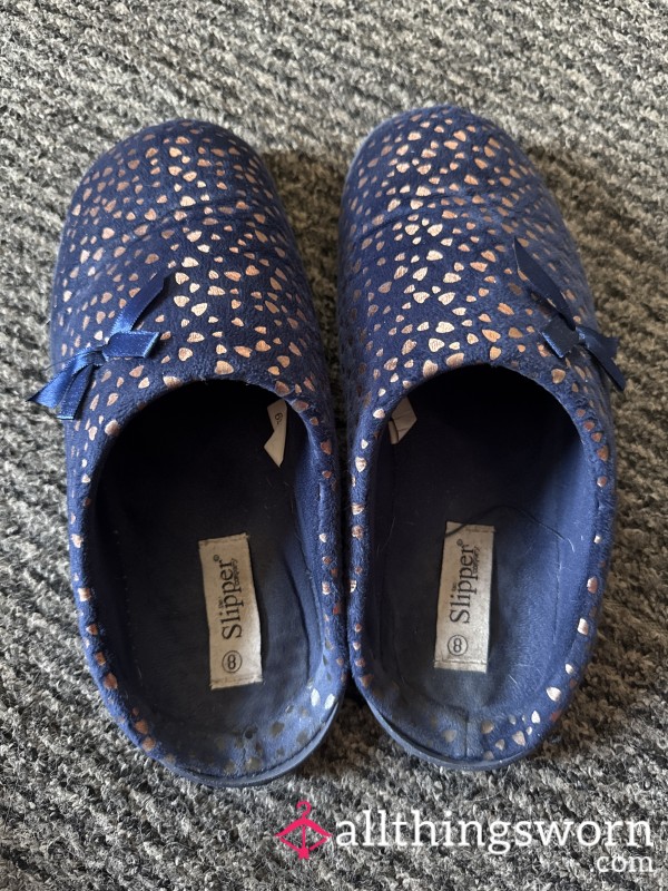 Well Worn And Smelly Uk8 Slippers