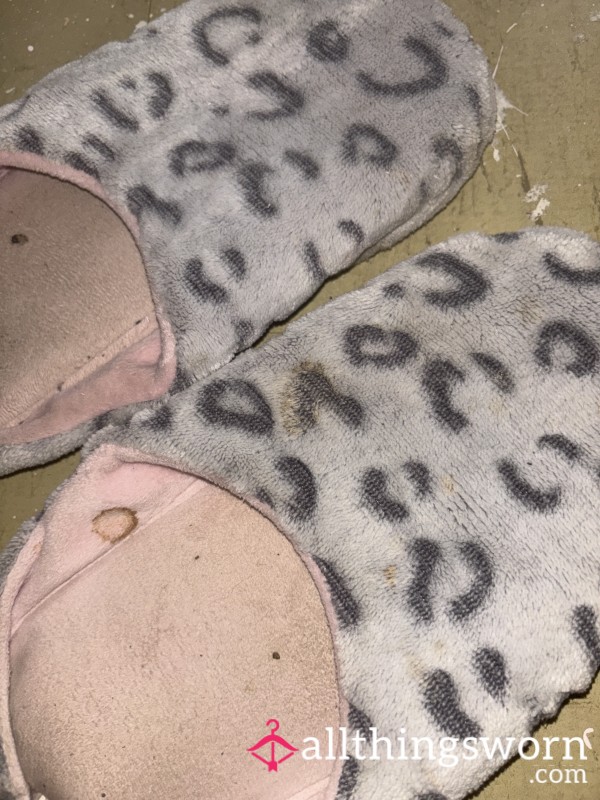 Well-worn Dirty Slippers