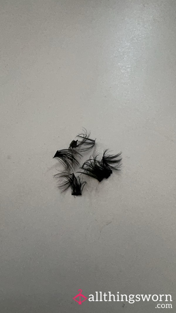 Well Worn Eyelash Clusters