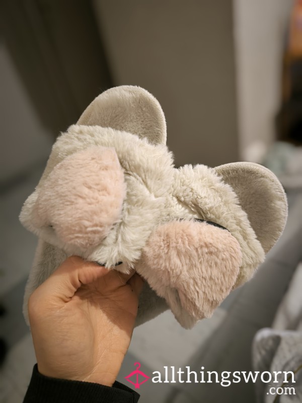 Well Worn Fluffy Slippers