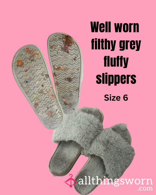 Well Worn Grey Slippers