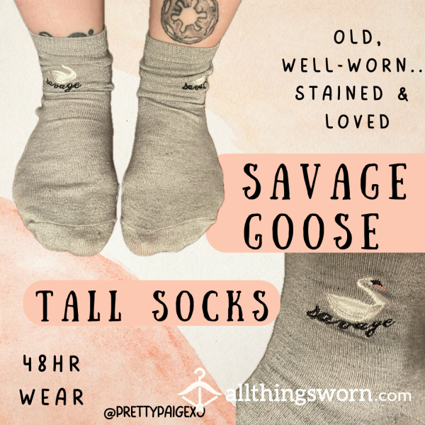 Well-worn Grey Socks 👣 OLD, Stained & Stinky!! 🥵 Savage Goose.. 48hr Wear