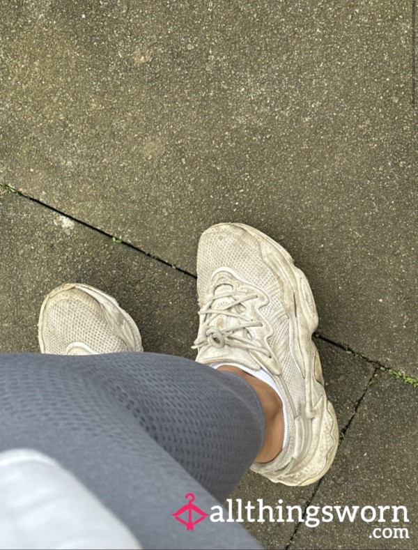 Well Worn Gym Shoes