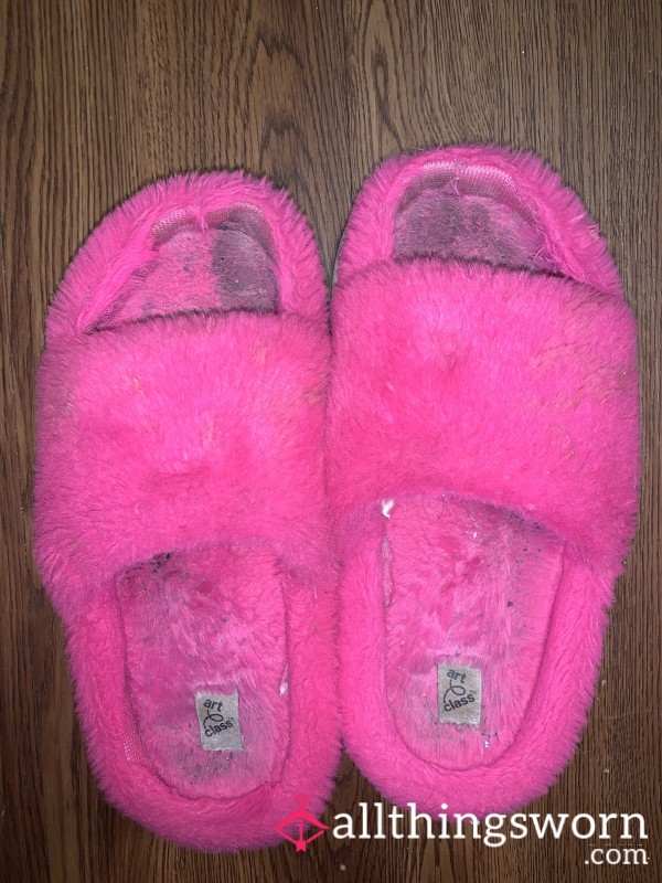 Well-worn House Slippers