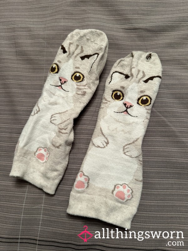 Well Worn Kitty Socks! Purr