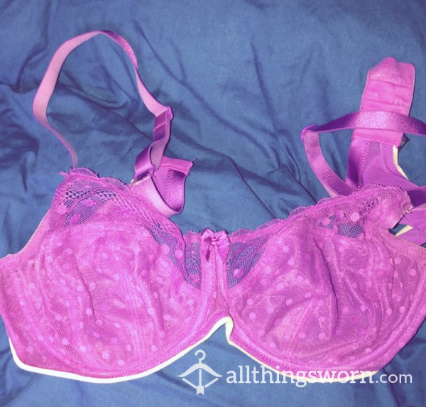 Well Worn Lace Bra - 38DD