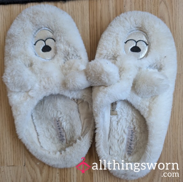 Well-worn Out Slippers