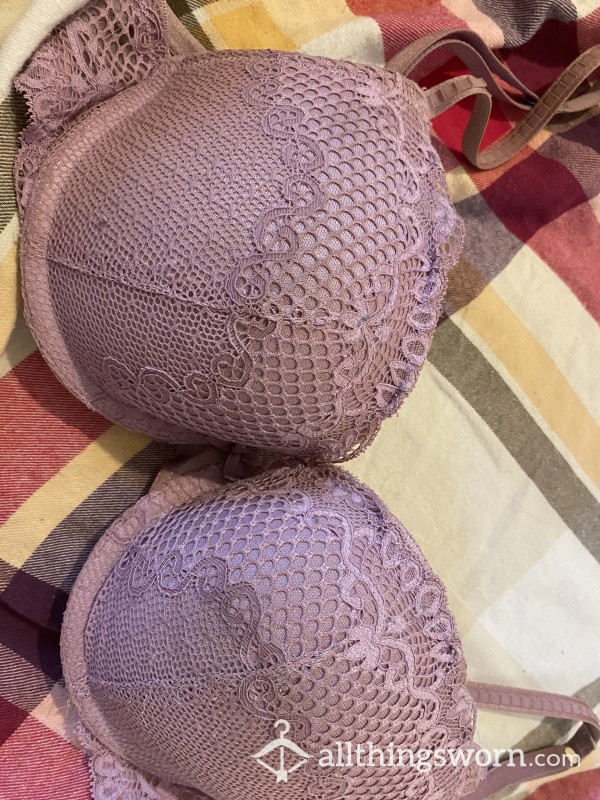 Well Worn Padded Purple Bra