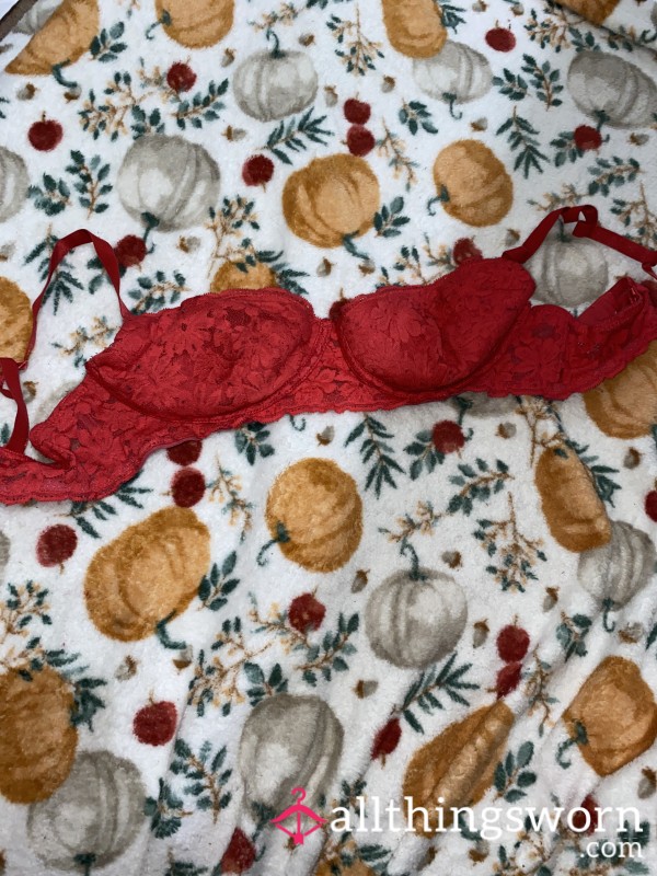 Well Worn Red Bra