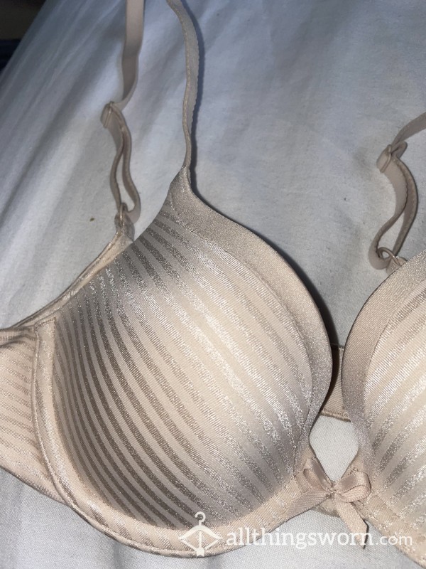 Well Worn Shimmery Pink Bra