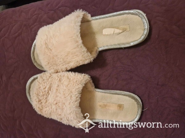 Well Worn Slippers