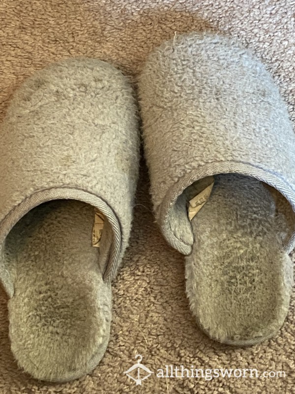 Well Worn Slippers