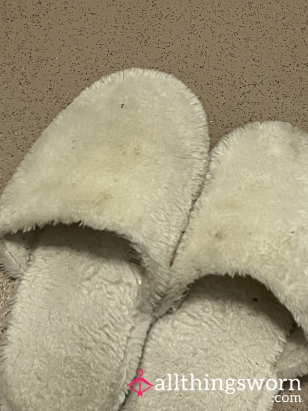 Well Worn Slippers