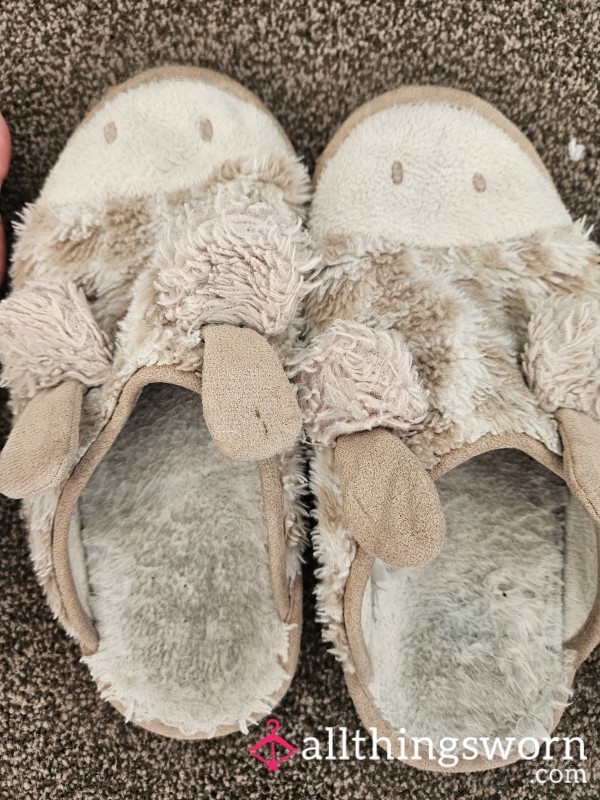 Well Worn Slippers