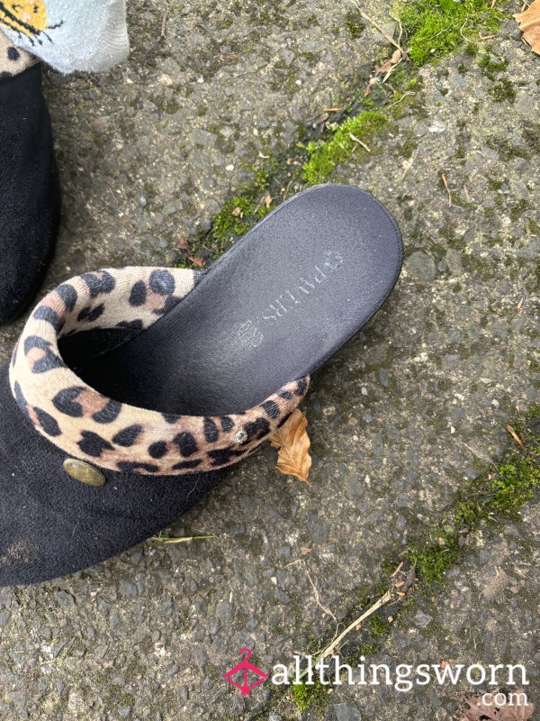 Well Worn Slippers