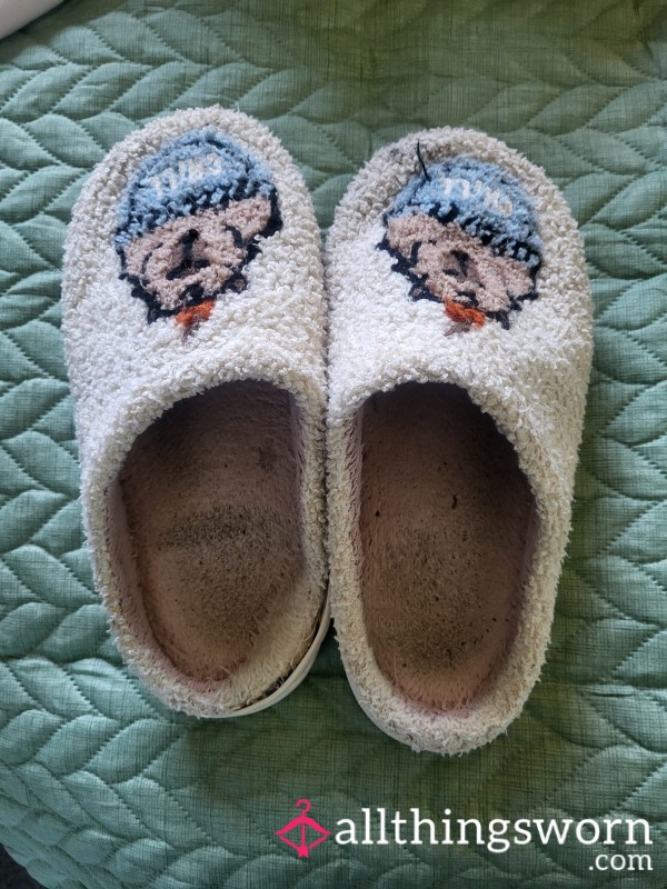 Well Worn Slippers