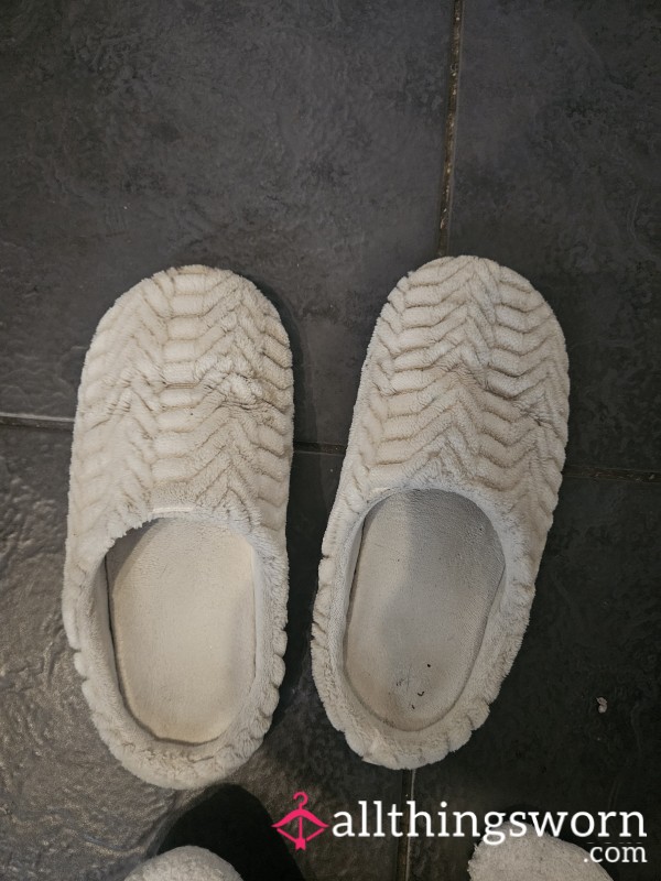 Well Worn Slippers