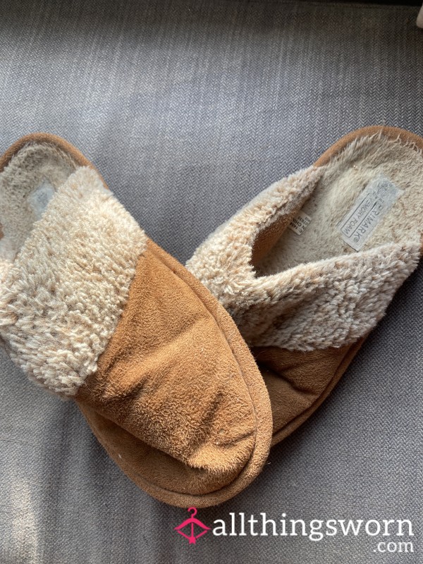 Well Worn Slippers