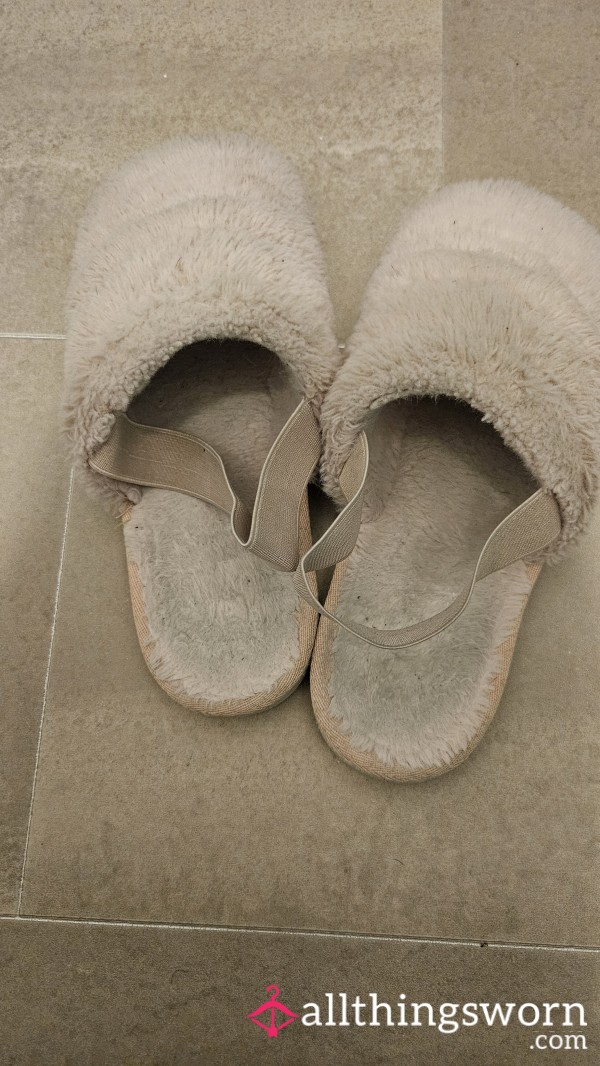 Well Worn Slippers