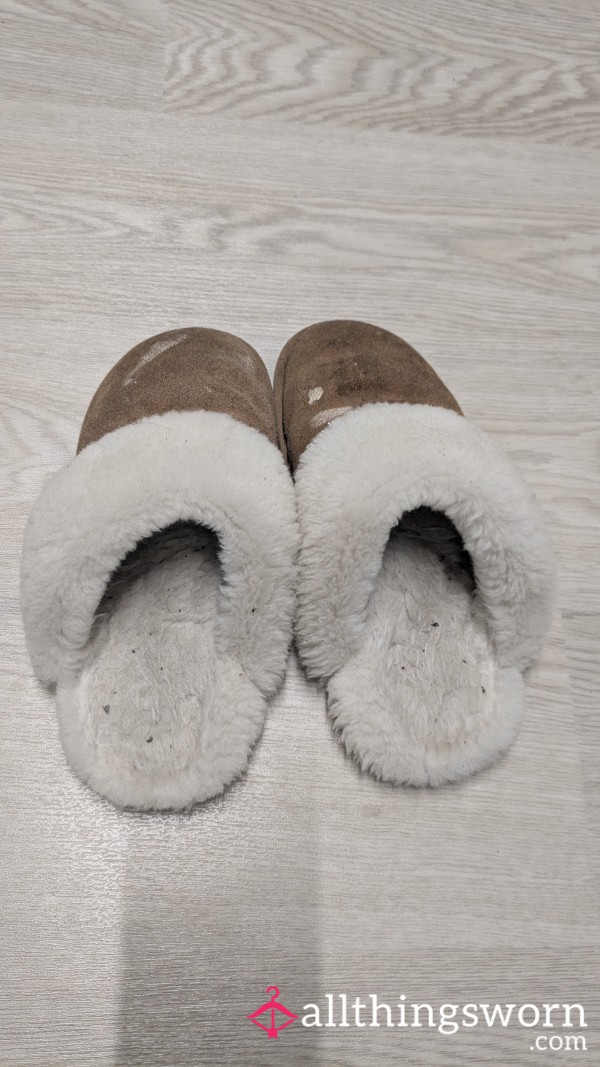 Year Old Smelly Slippers 🥿