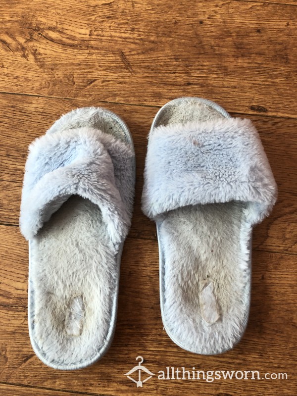 Well Worn Slippers