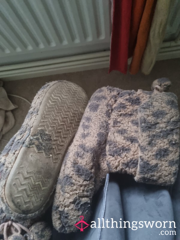 Well Worn Slippers FILTY