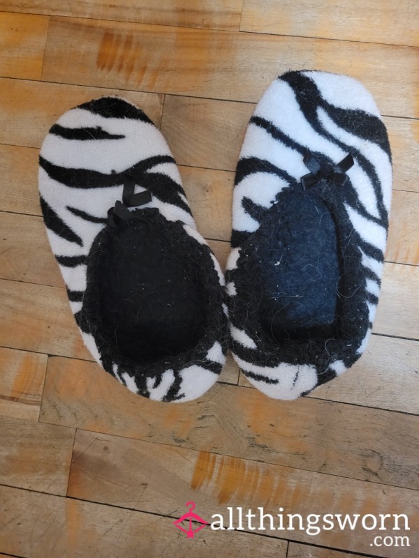 Well Worn Slippers Over 5 Years Old