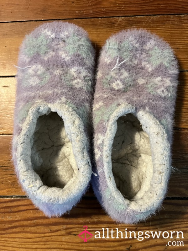 Well Worn Dirty Rotten Slippers