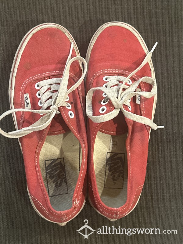 Well Worn Vans