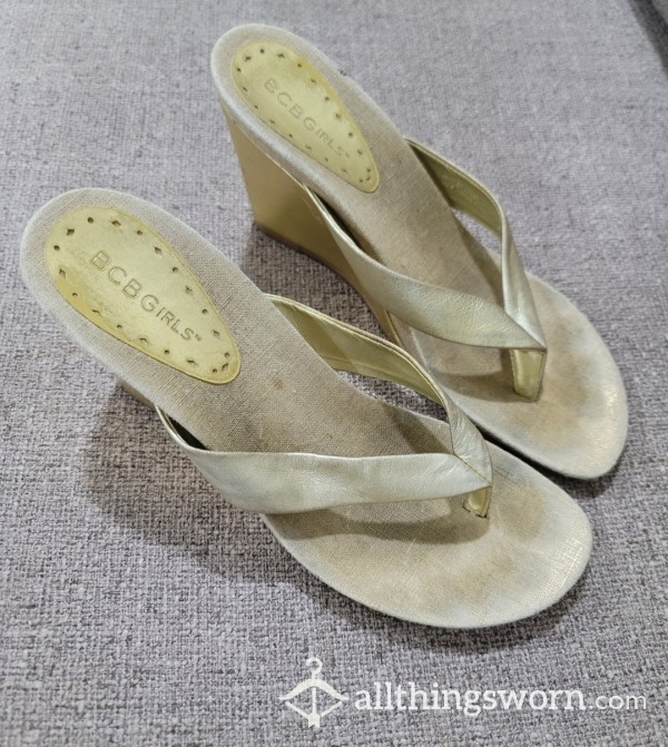 Well Worn Wedge Sandals