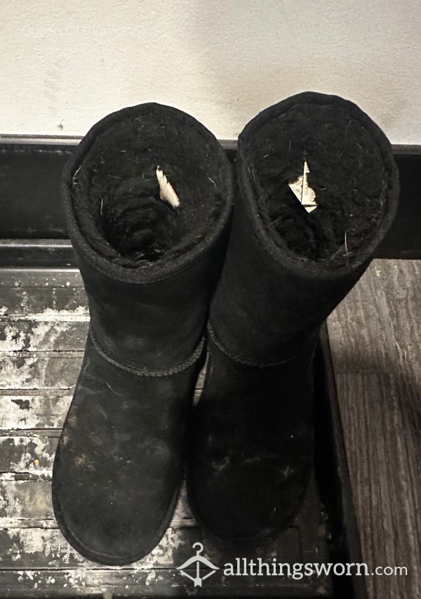 Well Worn- Winter UGGS