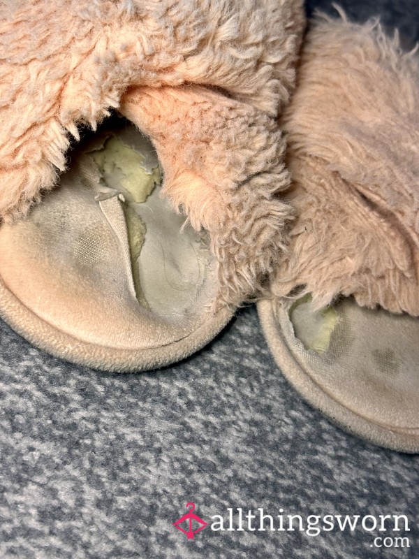 Very Well Worn Smelly Slippers