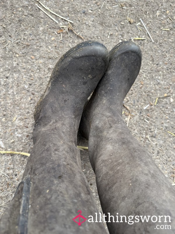 Wellie Boots - Extremely Well Worn