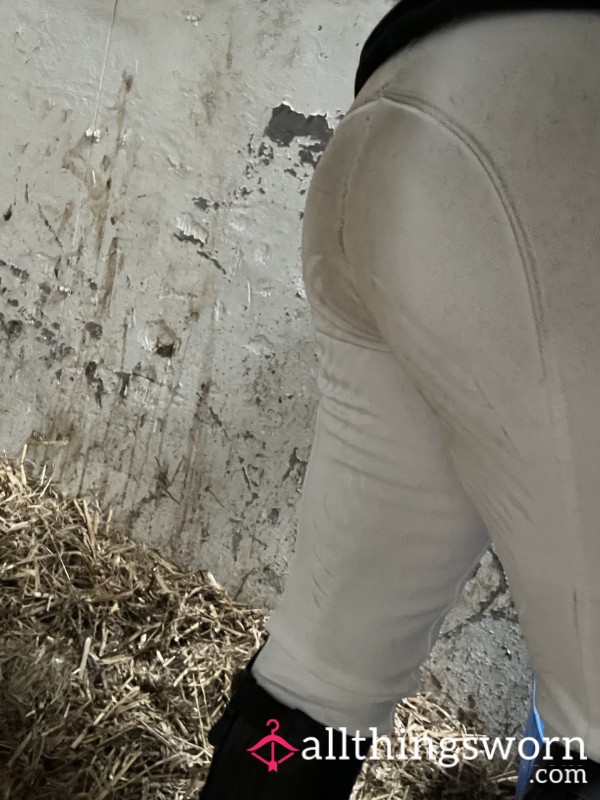 White Dirty Jodhpurs Rode In With No  Panties