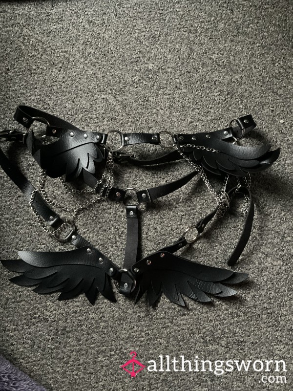 Wing Harness And Belt Set