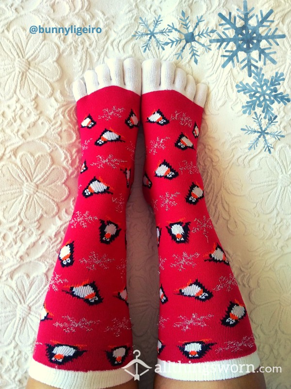 Winter Wonder Land Socks 🐧❄