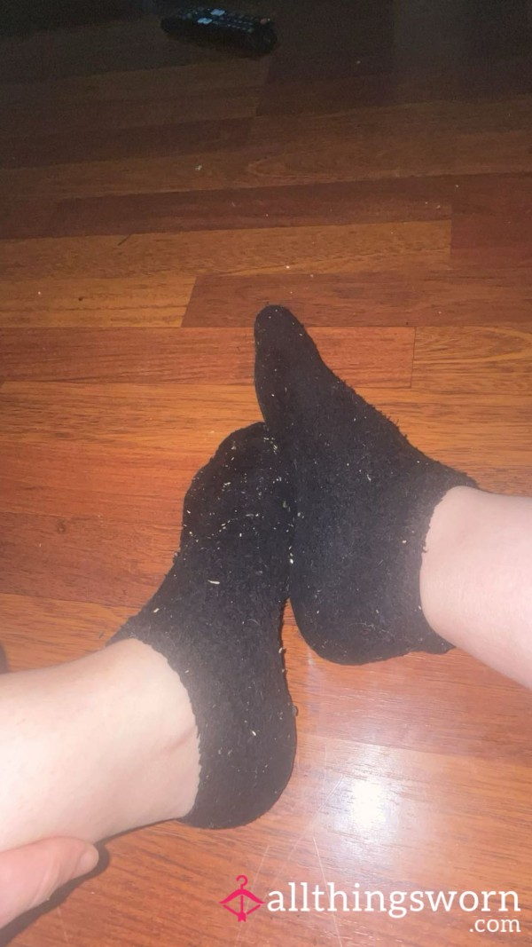 Work Socks