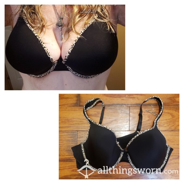 Worn💥 Black Padded Bra Trimmed In 🐆 Leopard Print Trim. Size 42 DD.