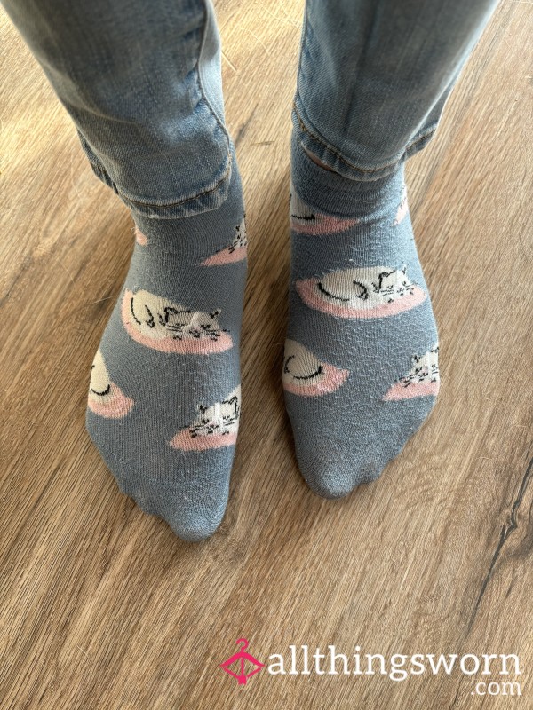 Worn Cute Cat Blue, White, & Pink Ankle Socks